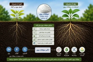 Alt Text: گلخانه مدرن و مصرف کود سولفات روی