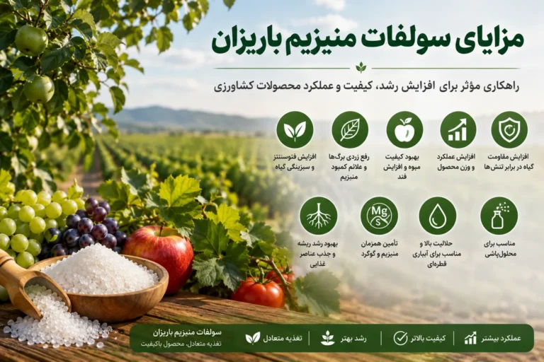 مزایای سولفات منیزیم باریزان برای افزایش رشد و عملکرد گیاه